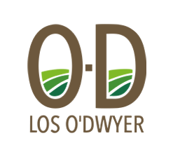 Los O'Dwyer